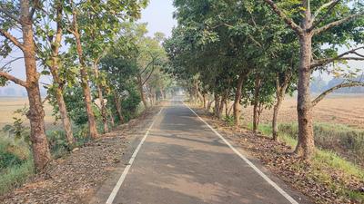 Image of 2712 Sq.ft Residential Plot / Land for sale in Naubatpur, Patna for Rs. 3000000