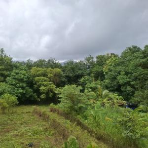 Image of 9600 Sq.ft Residential Plot / Land for sale in Mundur-I, Palakkad for Rs. 225000