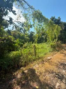 Image of 4320 Sq.ft Residential Plot / Land for sale in Dharapur, Guwahati for Rs. 7000000