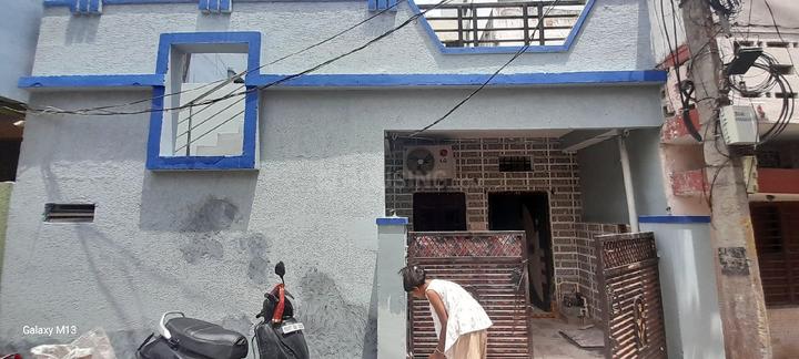 S And S Shapur Elite County Main Image 1