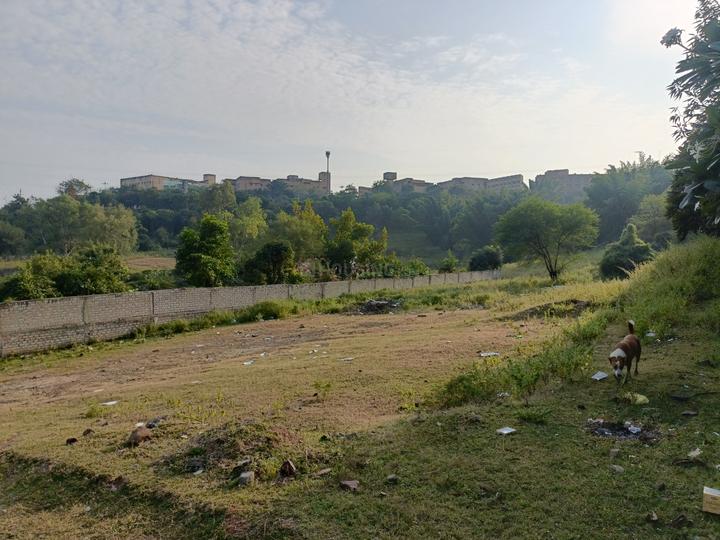 Chunabhatti Main Image 1