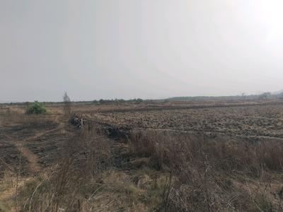 Bhoomi Plots in Kelvane Plot View 2
