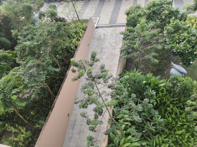 Image of 1457 Sq.ft 3 BHK Apartment / Flat for sale in Ambuja Ecospace Residencia, New Town, Kolkata for Rs. 16500000