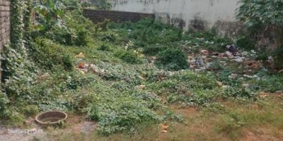 Patia Plot View 3