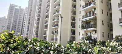 Image of 1000 Sq.ft 2 BHK Apartment / Flat for sale in MGH Mulberry County, Sector 70, Faridabad for Rs. 6000000