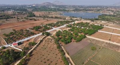 Image of 6534 Sq.ft Residential Plot / Land for sale in Narsapura, Kolar for Rs. 3920400