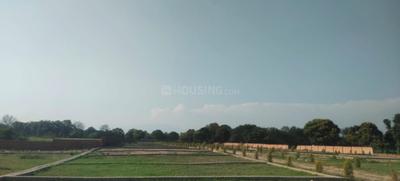 Image of 200 Sq.ft Residential Plot / Land for sale in Selakui, Dehradun for Rs. 1000000