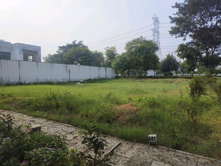 Vatika India Next Plot Main Image 1