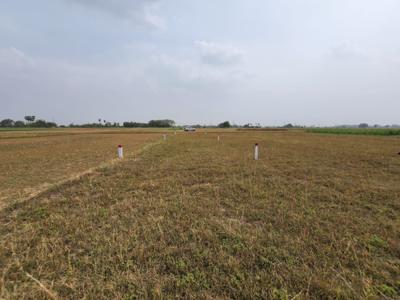 Floor Plan Image of 1000 Sq.ft Residential Plot / Land for sale in Naubatpur Patna for Rs. 749000