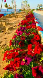 Image of 100 Sq.ft Residential Plot / Land for sale in Jharna, Jaipur for Rs. 1380000