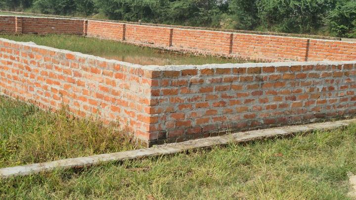 Anora Kala Main Image 1