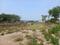 Maan Plot View 2