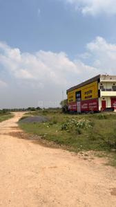 Image of 800 Sq.ft Residential Plot / Land for sale in Joura, Morena for Rs. 1600000