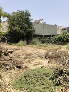 Shurbhit vatika Plot View 2