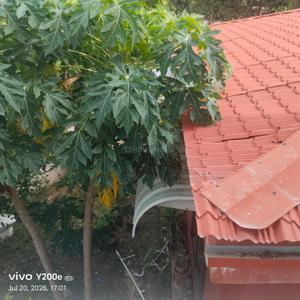 Image of 3400 Sq.ft 4 BHK Villa for sale in Kalali, Vadodara for Rs. 16000000