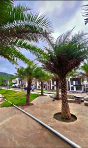 Image of 3958 Sq.ft Residential Plot / Land for sale in Pharande Vaarivana, Urse, Pune for Rs. 40000000