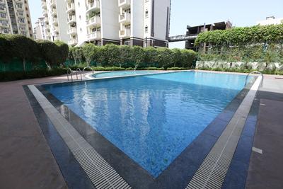 Image of 1642 Sq.ft 3 BHK Apartment / Flat for sale in Suncity Essel Towers, Sushant Lok Phase 1, Gurgaon for Rs. 33000000