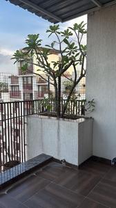 Balcony Image of 1450 Sq.ft 3 BHK Penthouse for sale in Flora Ixora, Bopal Ahmedabad for Rs. 15500000