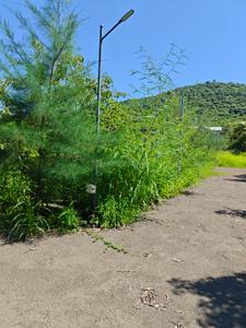 Image of 2723 Sq.ft Residential Plot / Land for sale in Shrivardhan, Raigad for Rs. 220000