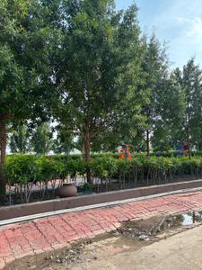 Image of 1800 Sq.ft Residential Plot / Land for sale in Pumarth Bliss I, Manglia, Indore for Rs. 9000000