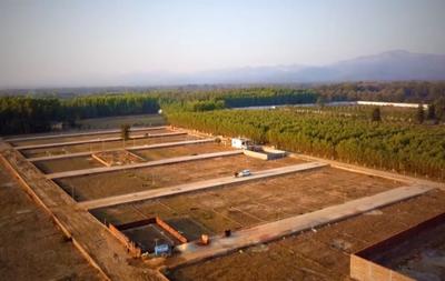 Nature green valley Plot View 1