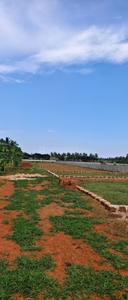 Image of 1000 Sq.ft Residential Plot / Land for sale in Ashok Nagar, Bhubaneswar for Rs. 1280000