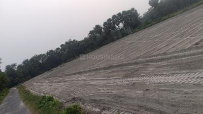 Image of 1361 Sq.ft Residential Plot / Land for sale in Daniawan, Patna for Rs. 600000