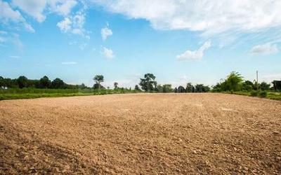 Image of 9378 Sq.ft Residential Plot / Land for sale in Dholera, Ahmedabad for Rs. 159426000