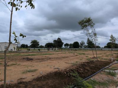 Image of 183 Sq.ft Residential Plot / Land for sale in Shadnagar, Ranga Reddy for Rs. 2887000