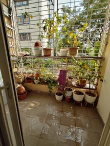 Balcony Image of 1130 Sq.ft 2 BHK Apartment / Flat for rent in Manchirevula Hyderabad for Rs. 42000