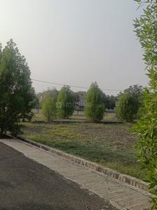 Image of 1250 Sq.ft Residential Plot / Land for sale in Bodri, Bilaspur for Rs. 1500000