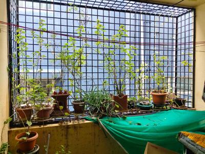 Balcony Image of 1140 Sq.ft 2 BHK Apartment / Flat for sale in RR Nagar Bengaluru for Rs. 8150000