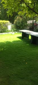 Image of 11500 Sq.ft 6 BHK Independent House for rent in Banjara Hills, Hyderabad for Rs. 700000