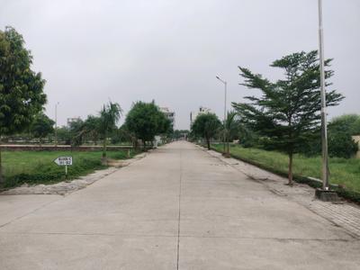 Soha Neal City Internal Roads 1