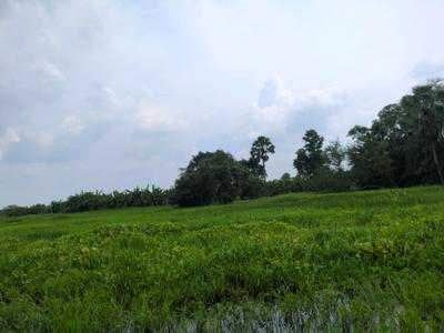Image of 1440 Sq.ft Residential Plot / Land for sale in Joka, Kolkata for Rs. 340090