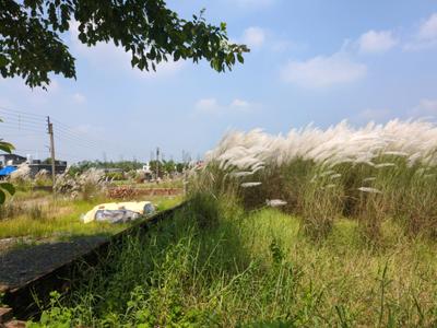 Image of 1440 Sq.ft Residential Plot / Land for sale in Joka, Kolkata for Rs. 449989