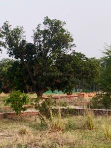 Image of 1000 Sq.ft Residential Plot / Land for sale in Amausi, Lucknow for Rs. 1500000