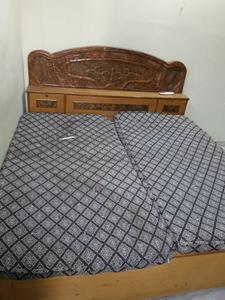 Bedroom Image of 1230 Sq.ft 1 BHK Apartment / Flat for rent in Jagatpura Jaipur for Rs. 13000