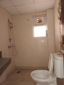 Common Bathroom Image of 1521 Sq.ft 3 BHK Apartment / Flat for sale in ABA Cherry County, Noida Extension Greater Noida for Rs. 17000000