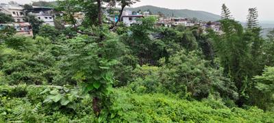 Image of 6300 Sq.ft Residential Plot / Land for sale in Mussoorie Road, Dehradun for Rs. 87500000