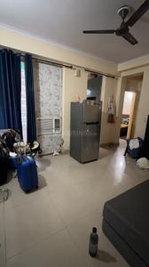 Hall Image of 525 Sq.ft 1 BHK Apartment / Flat for rent in Pigeon Spring Meadows, Noida Extension Greater Noida for Rs. 15000