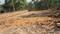 Madanpur Plot View 2