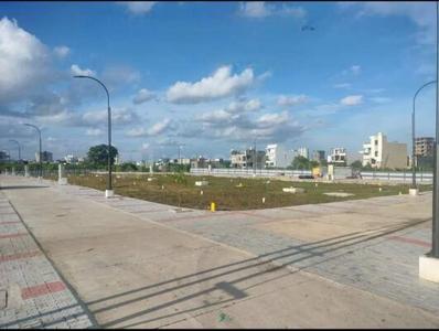 100 Gaj Plots Plot View 2