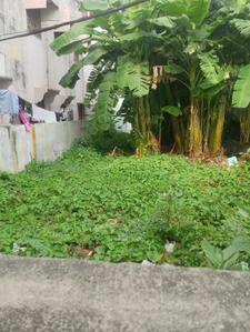Balaga Plot View 2