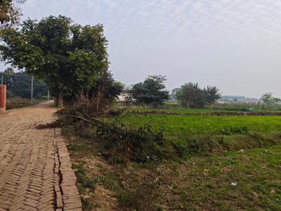 Image of 1305 Sq.ft Residential Plot / Land for sale in Bharthara, Varanasi for Rs. 2900000