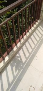Balcony Image of 540 Sq.ft 1 BHK Builder Floor for rent in Sector 49 Gurgaon for Rs. 16000