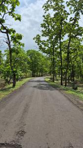 Image of 5000 Sq.ft 1 BHK Farm House for sale in Simrol, Indore for Rs. 1500000