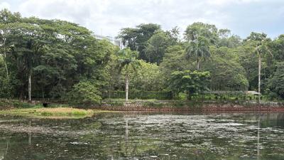 Image of 7840 Sq.ft Residential Plot / Land for sale in Adoor, Pathanamthitta for Rs. 23400000