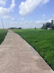 Image of 1089 Sq.ft Residential Plot / Land for sale in Bori Bk, Navi Mumbai for Rs. 500000