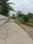 Apparent JB Garden Internal Roads 1